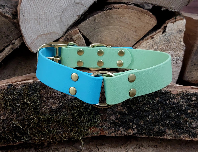 Tiffany blue sales leather dog collar