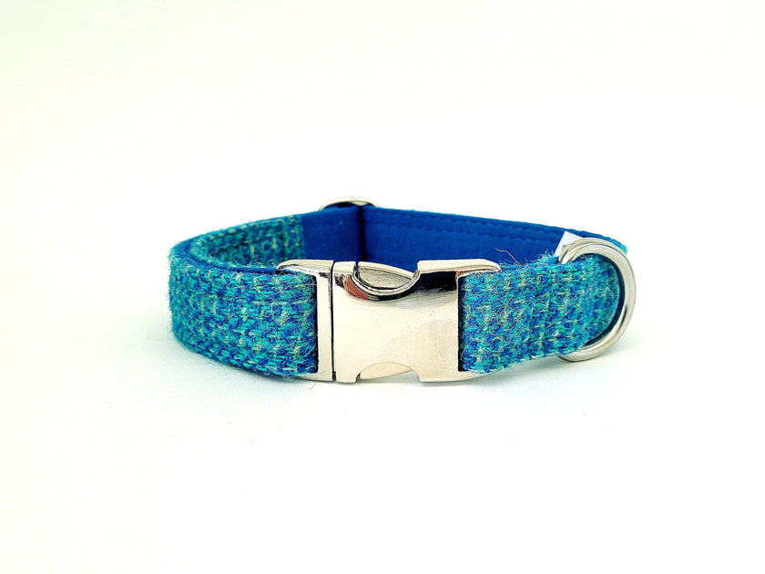 Turquoise Fleck Luxury Harris Tweed Dog Collar Collared