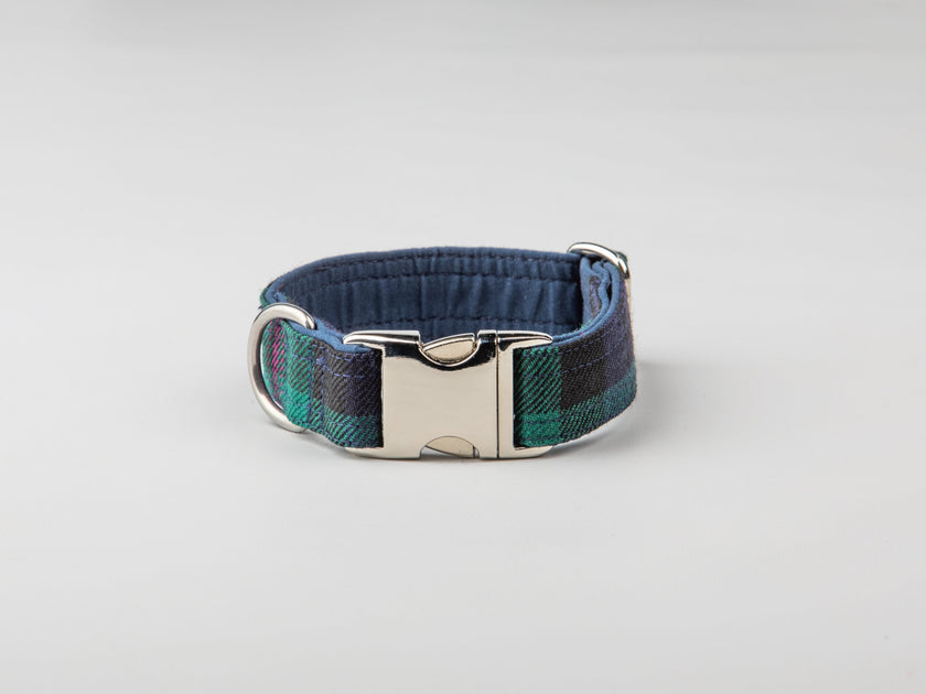 Blue tartan dog collar sale