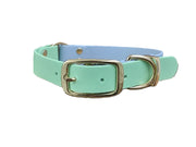 Pastel Blue & Apple Green Multicolour Waterproof Biothane Dog Collar