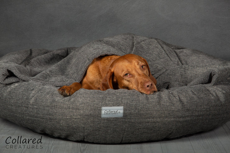 Small Grey Classic Comfort Cocoon Dog Bed Collared Creatures