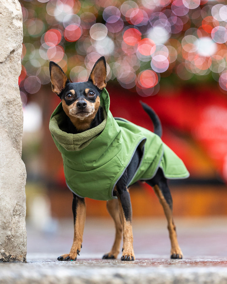 Collared Creatures Green Superior Waterproof Dog Coat