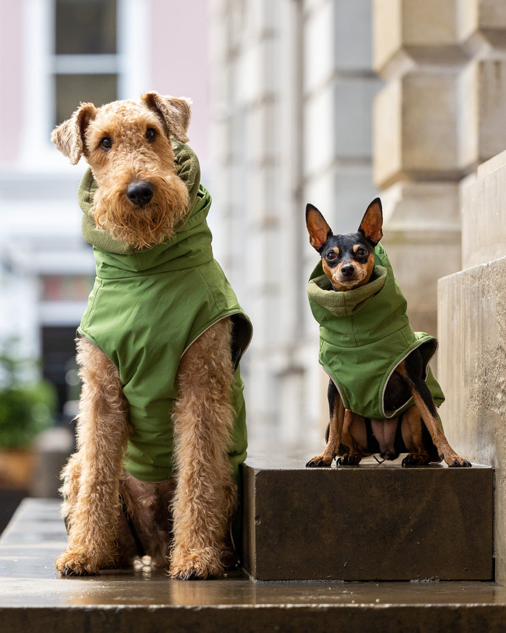 Collared Creatures Green Superior Waterproof Dog Coat