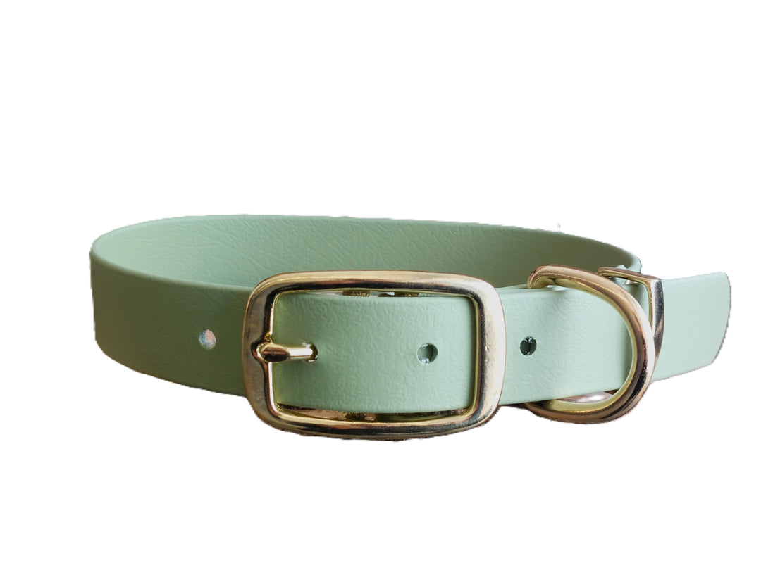 Guacamole Green Waterproof Biothane Dog Collar Collared Creatures Collared Creatures LTD