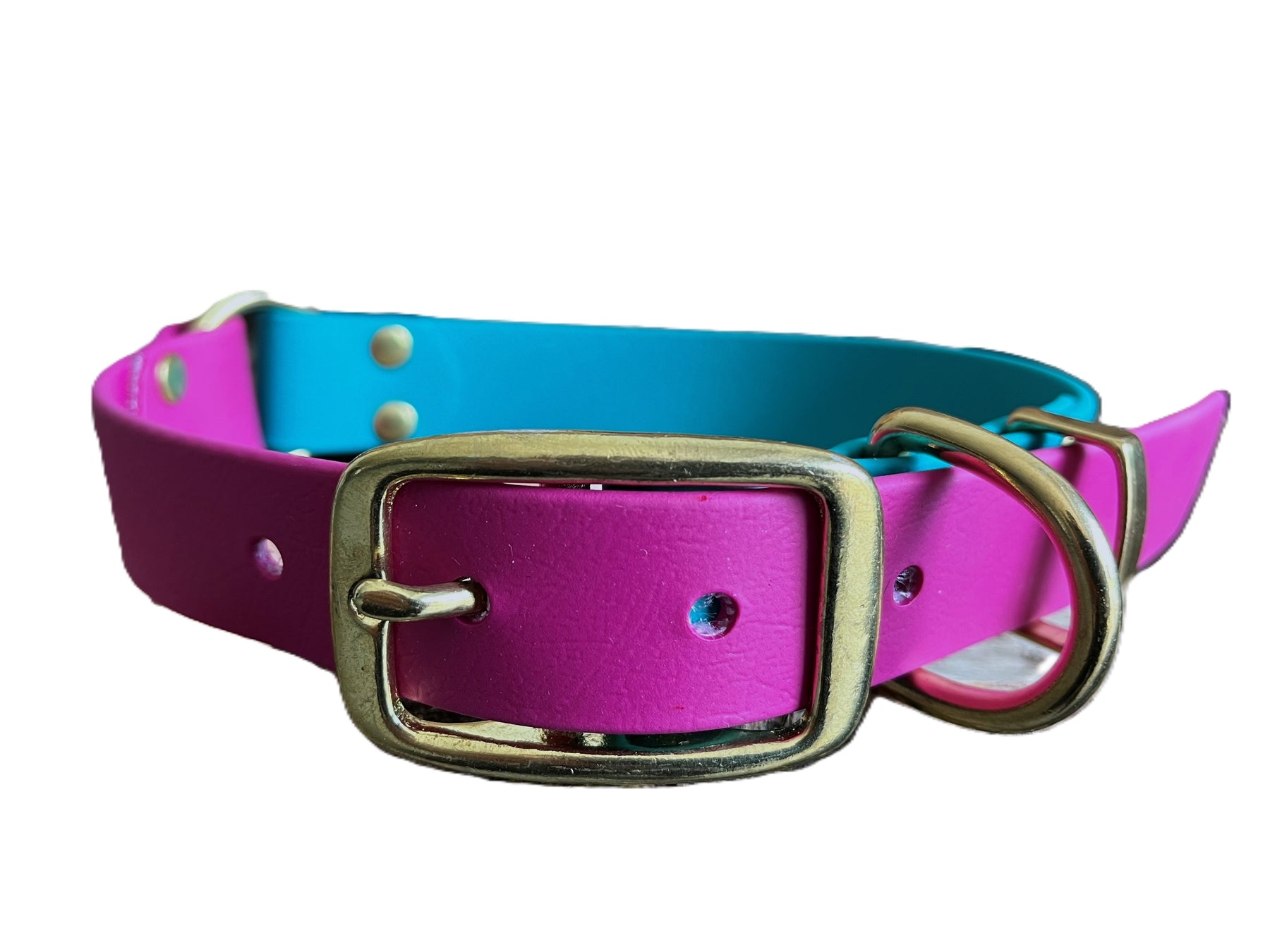 Magenta dog collar hotsell