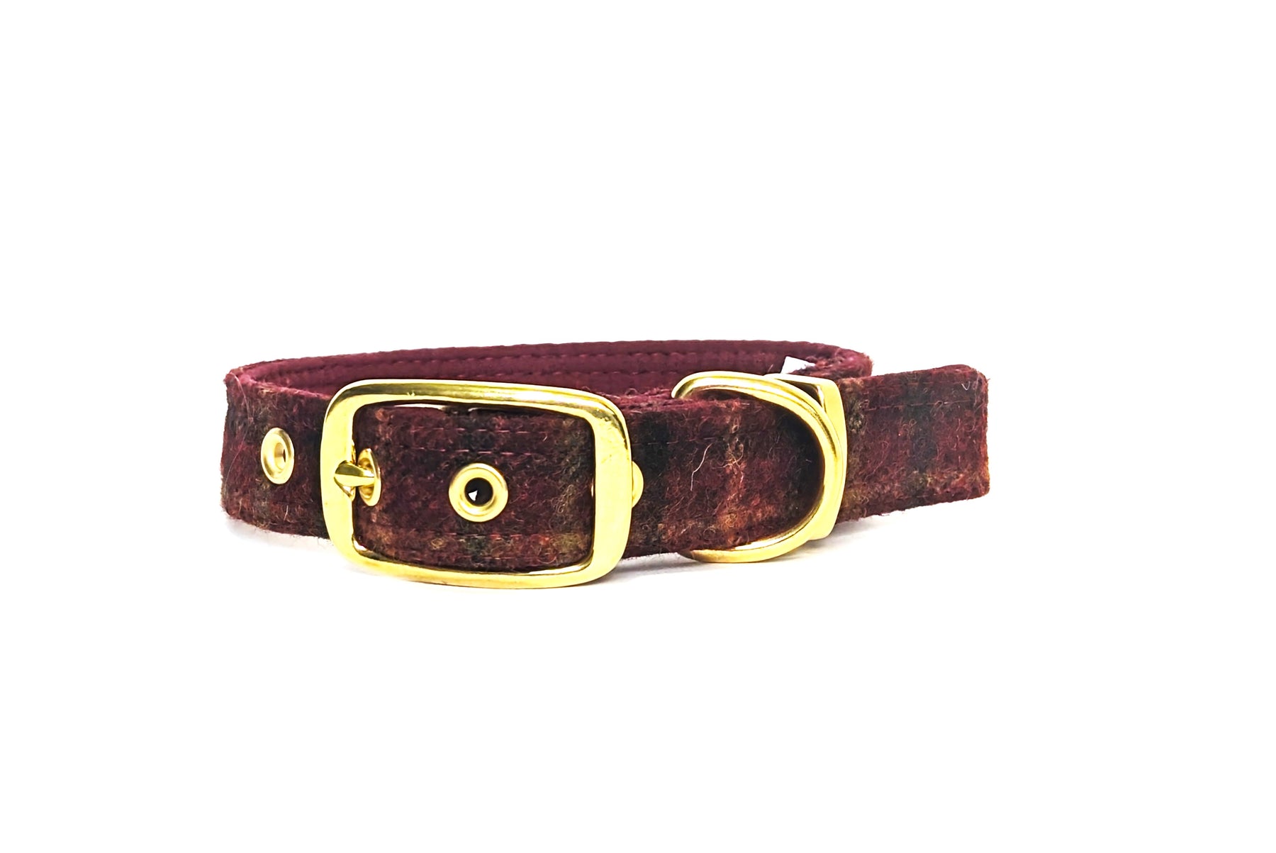 Dog collars with buckle fastening new arrivals