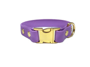 Amethyst Small Breed Waterproof Biothane Dog Collar 21cm to 28cm Neck