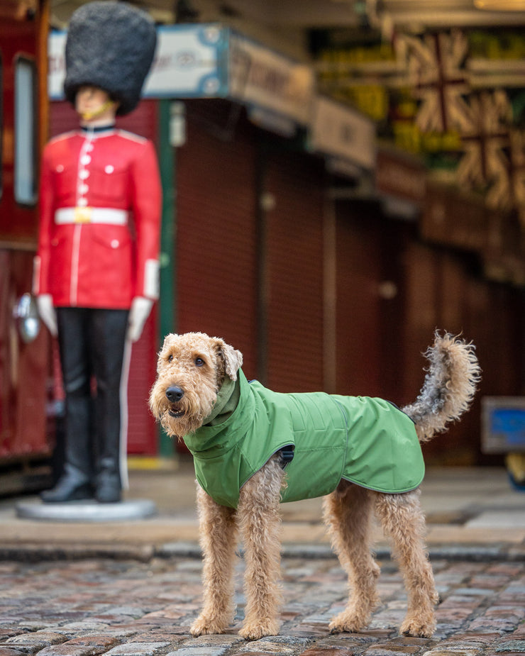 Collared Creatures Green Superior Waterproof Dog Coat