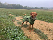 Collared Creatures Green Superior Waterproof Dog Coat