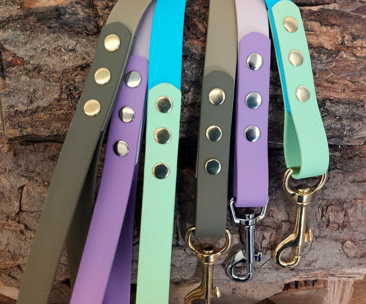 Multicolour Biothane Waterproof Dog Lead