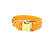 Tangerine Small Breed Waterproof Biothane Dog Collar 21cm to 28cm Neck