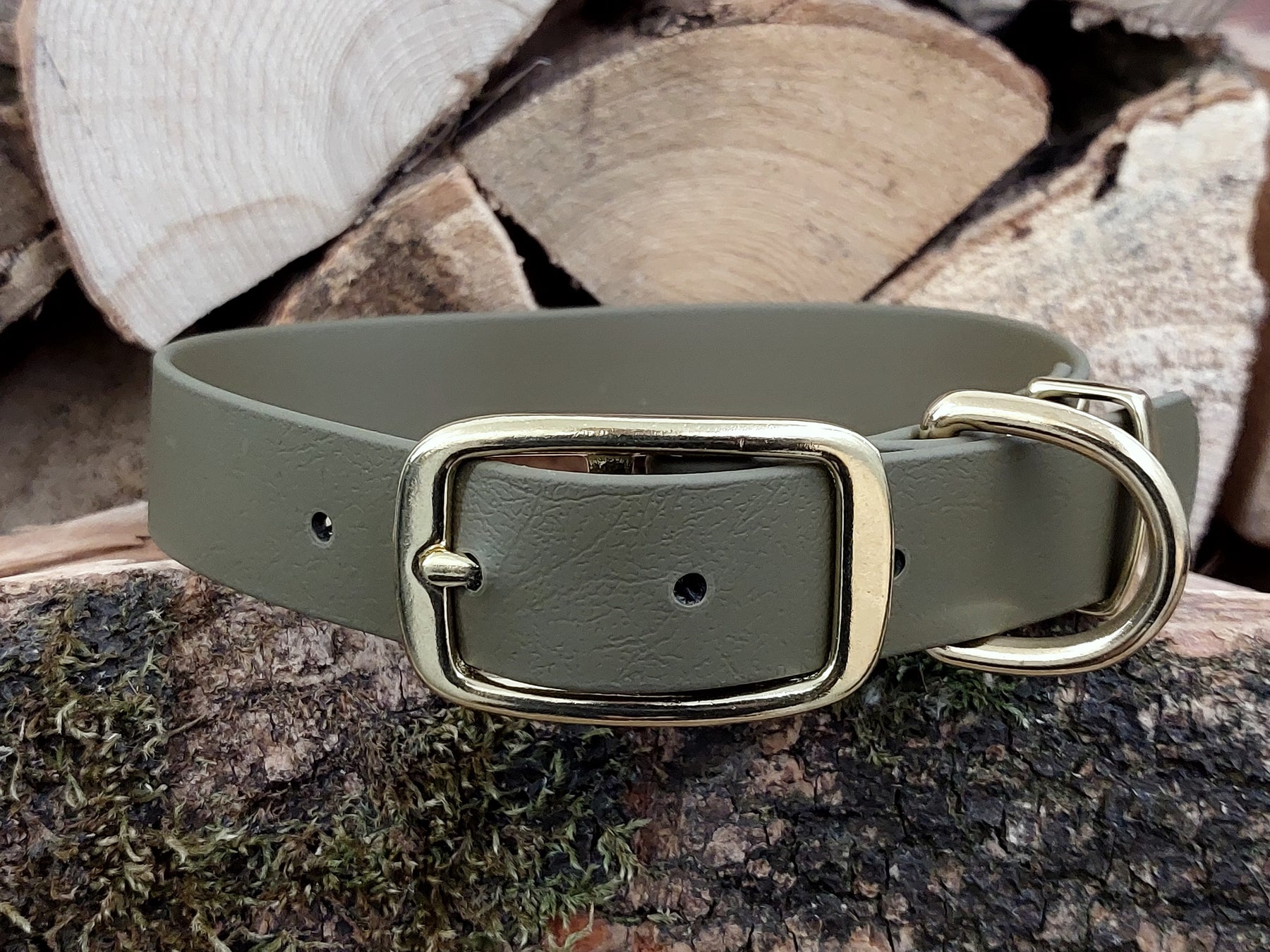 Olive dog outlet collar