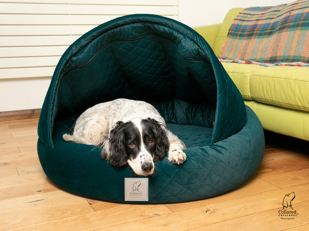 Teal Quilted Velour Deluxe Comfort Cocoon Dog Bed