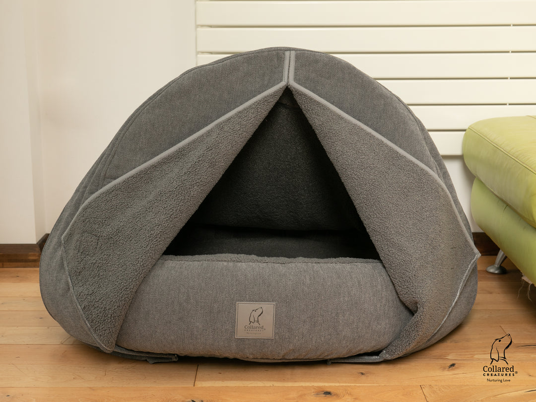 Eddie biomedic modern pet sofa bed best sale