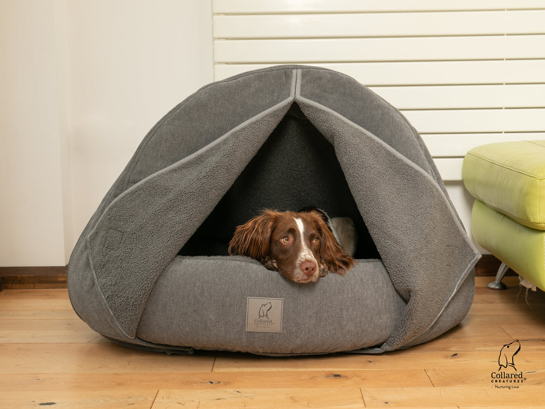 Big dog fashion cave bed